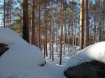 Без подписи