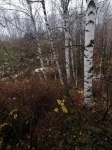 тайник