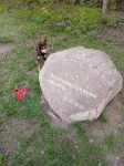 Без подписи