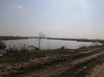 Без подписи