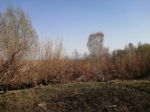 Без подписи