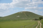 Без подписи