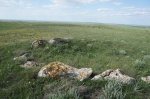 Без подписи