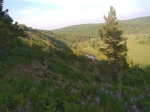 Без подписи