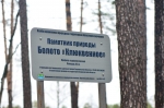Без подписи