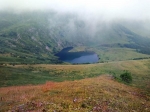Без подписи