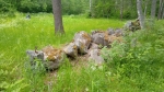 Каменная ограда