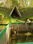 Без подписи