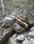 Без подписи