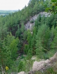 Без подписи