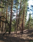 Без подписи