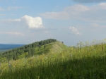 Без подписи