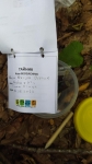 Без подписи