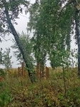 Вид с места закладки