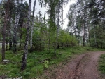 Без подписи