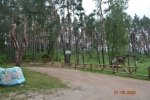 Без подписи