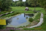 Без подписи