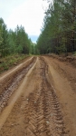 Без подписи