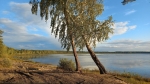 Без подписи
