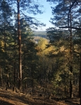 Без подписи