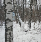 Без подписи