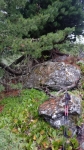 Камни,где коробочка