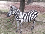Без подписи