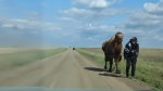 Без подписи