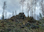 Без подписи