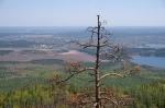 Без подписи