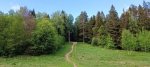 Без подписи