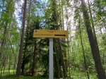 Без подписи