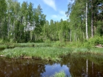 Без подписи