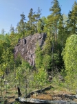 Без подписи