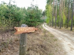 Указатель