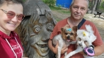 Без подписи