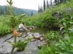 Родник Чаша