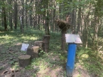 Без подписи