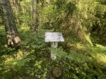 Без подписи