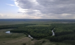 Без подписи
