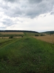 Без подписи