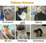 Без подписи