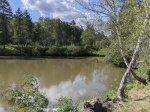 Без подписи