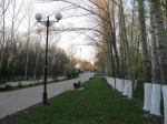 Аллея главная