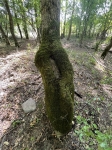 Без подписи