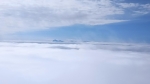 Без подписи