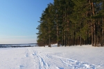 Осиновая гора