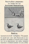 Без подписи