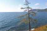 Без подписи