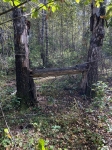Без подписи